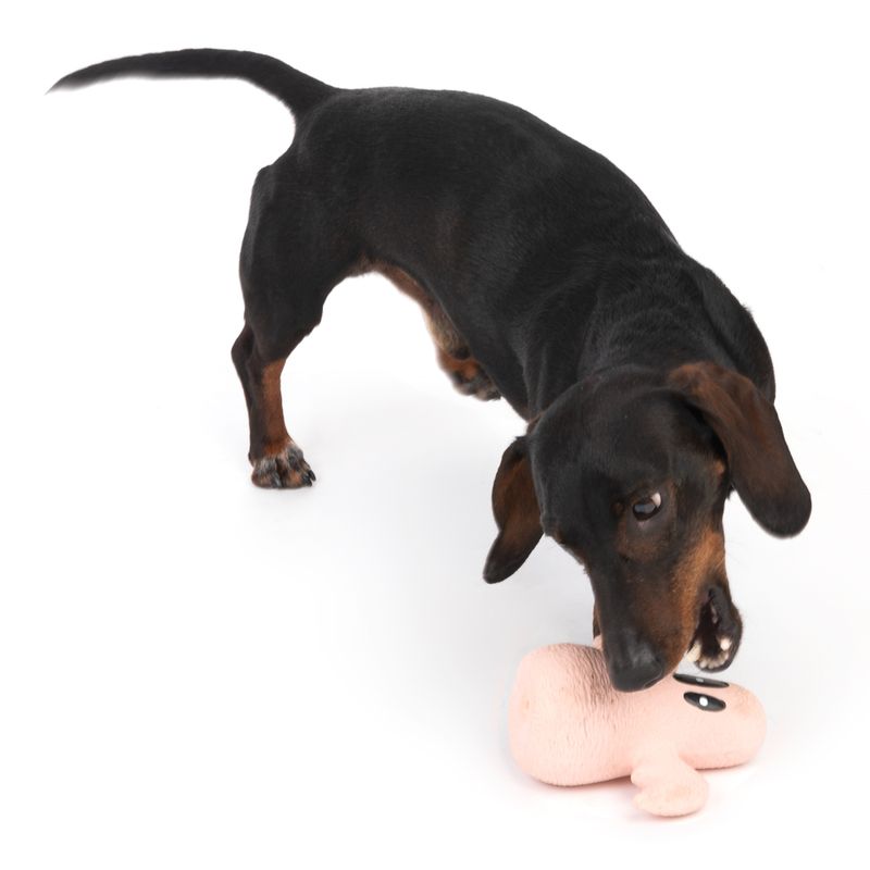 TIAKI Hundespielzeug Latex Geist zu TOP-Preisen