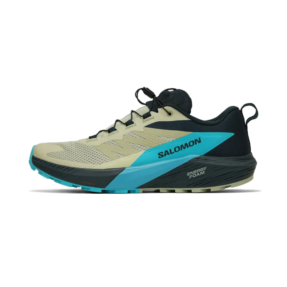 Salomon Sense Ride 5 L47458500 / grau