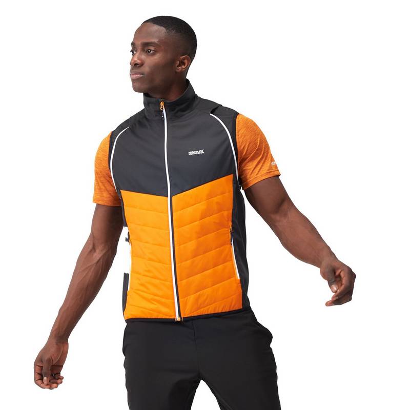Regatta Steren Funktionsjacke Herren