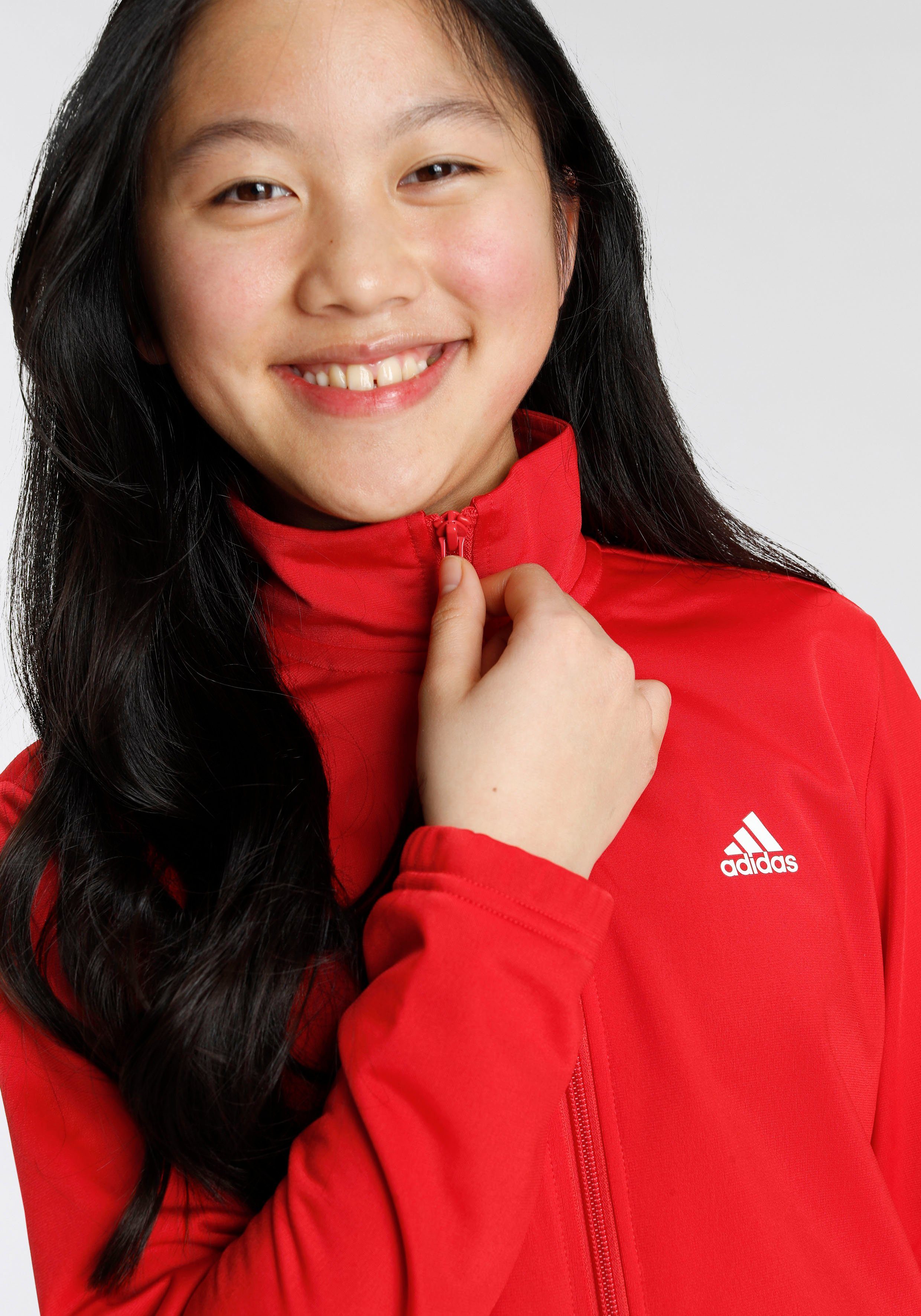 adidas Sportswear Trainingsanzug ESSENTIALS BIG LOGO (2-tlg)