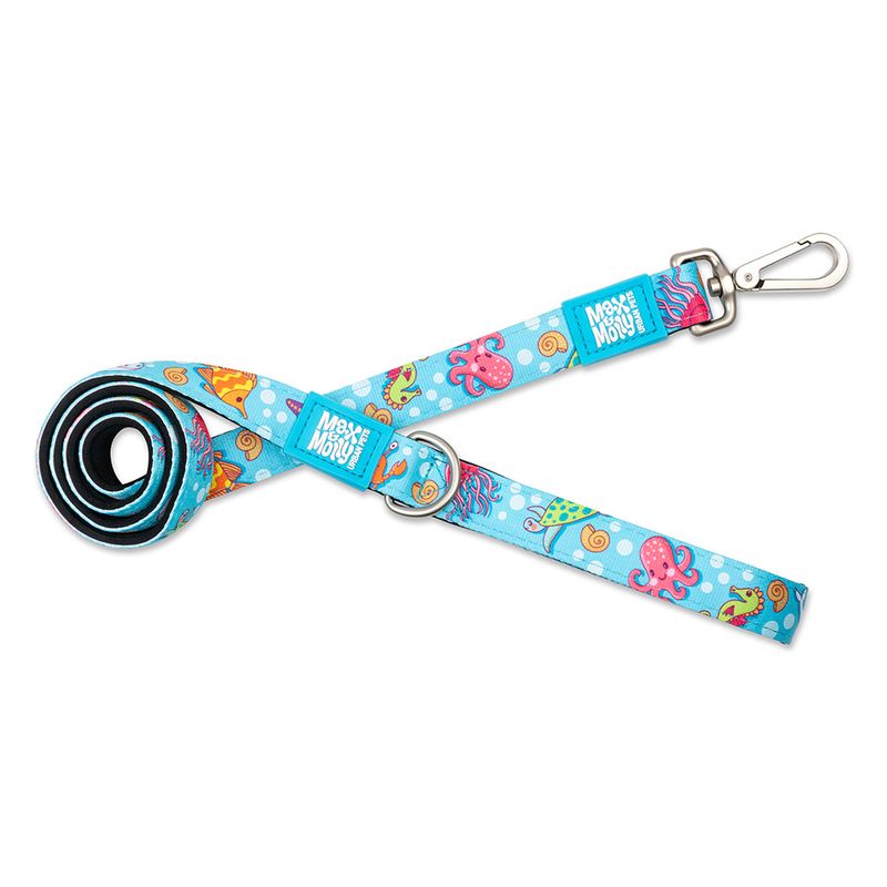 Max & Molly Kurzleine Blue Ocean zu TOP-Preisen