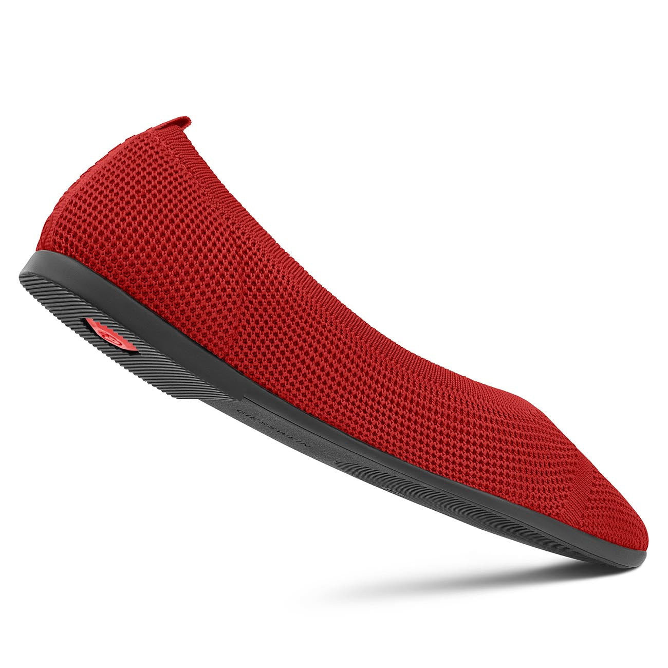 Eco Ballerinas Pointy 2.0