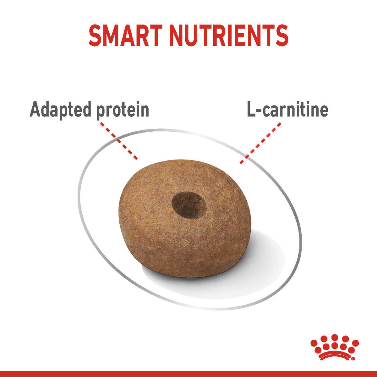 ROYAL CANIN LIGHT WEIGHT CARE MEDIUM 3kg + Mousse 12x85g