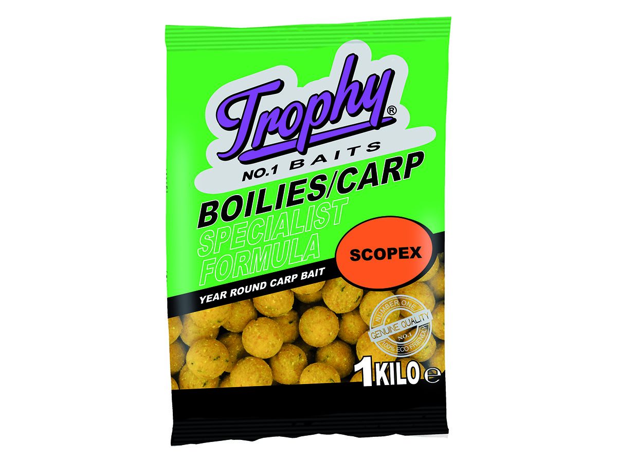 Albatros Trophy Bait 20 mm Scopex Boilies