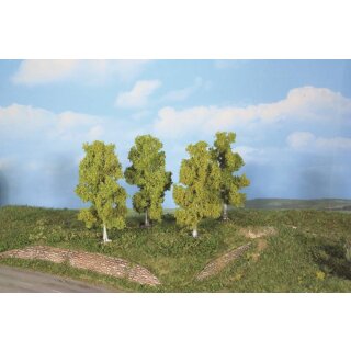 Birken 11 cm (4 Stk.)