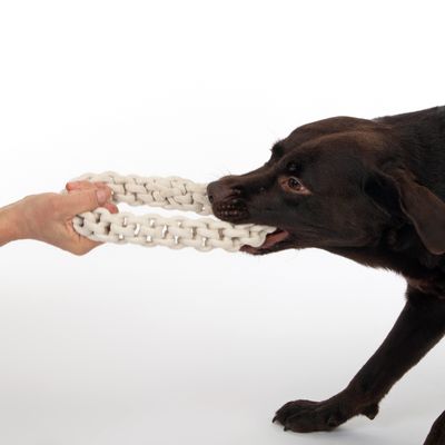 TIAKI Hundespielzeug Rope Ring