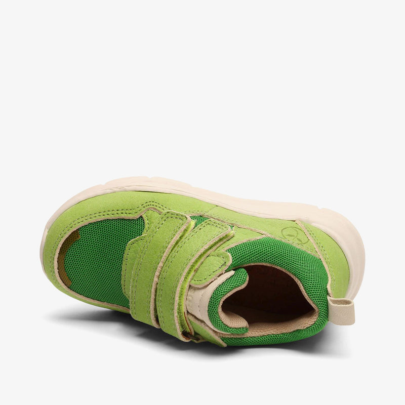 pan tex green - Grün