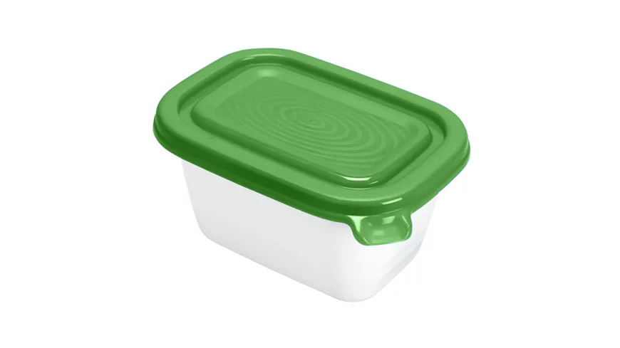 rotho Gefrierdosen Set DOMINO 6-tlg. 0,25l