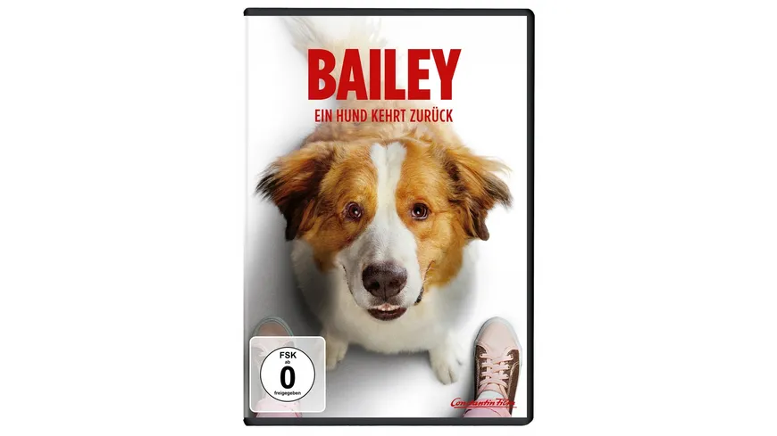 Bailey - Ein Hund kehrt zurück