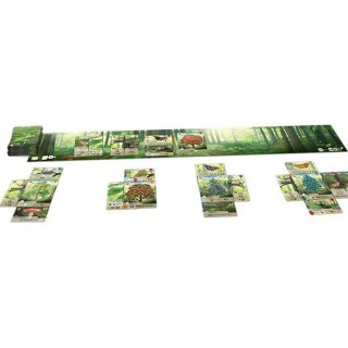 Forest Shuffle (EN)