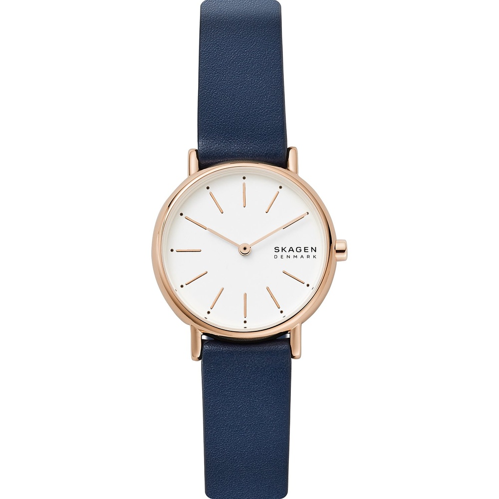 Skagen Montre pour femme Acier inoxydable Montre