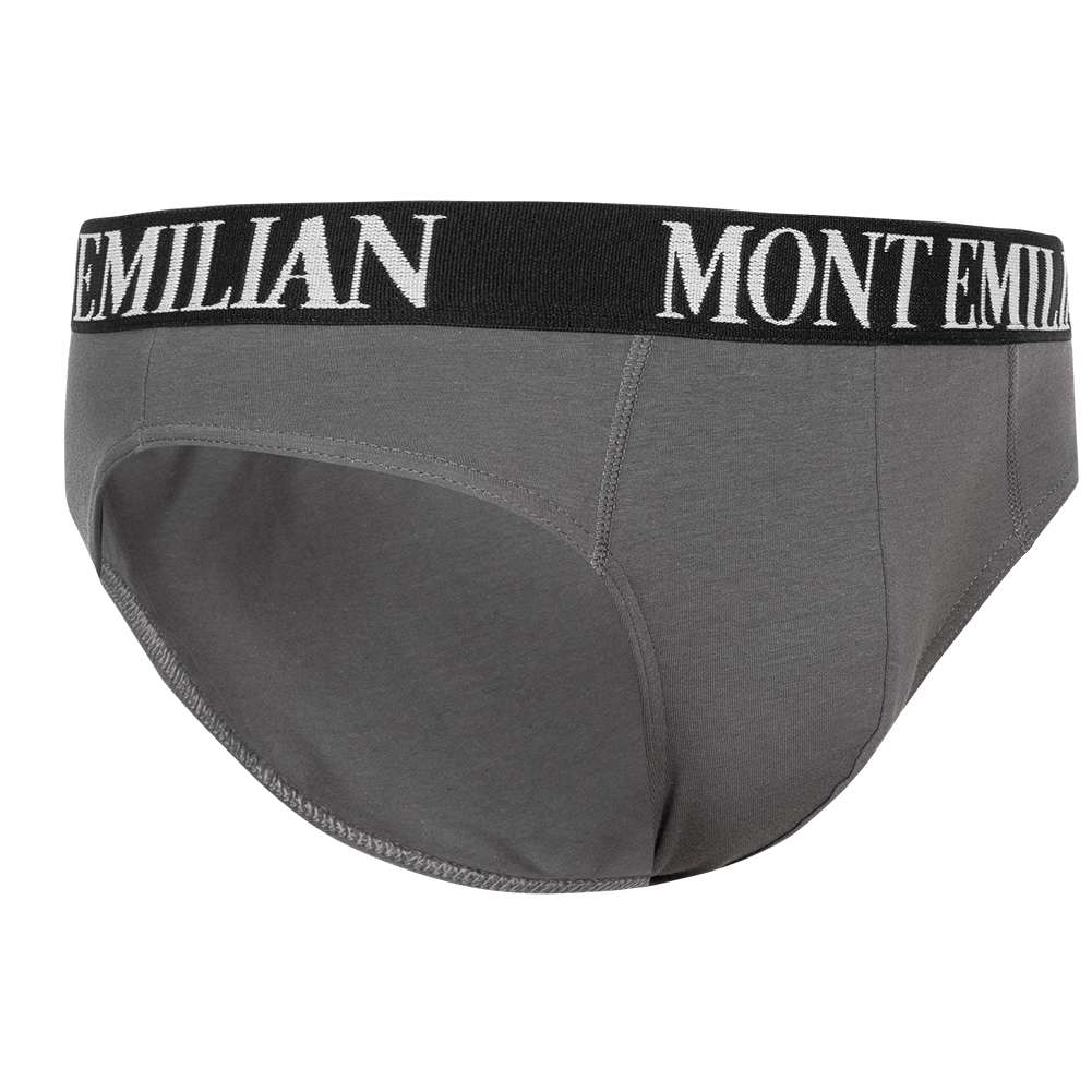 MONT EMILIAN 