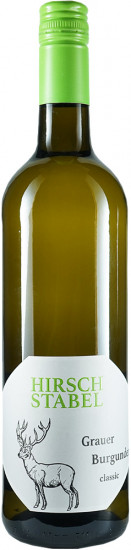 2023 Grauer Burgunder trocken - Weingut Hirsch-Stabel
