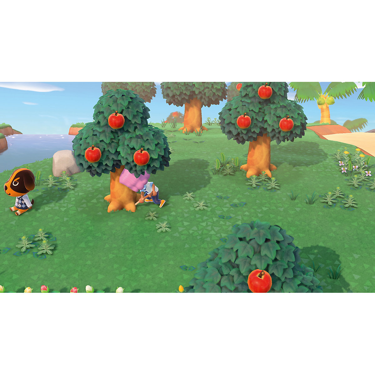 Nintendo Switch Animal Crossing: New Horizons