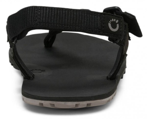 Xero |m ~ H-Trail ~ Black/Fallen Rock