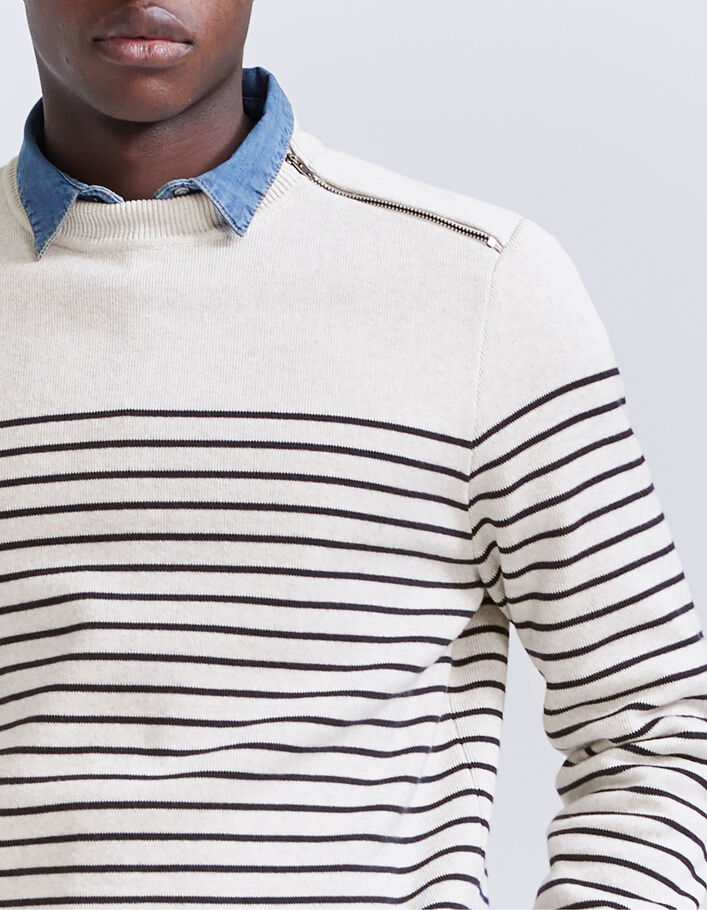 Pull marinière coloris naturel à col zippé Homme