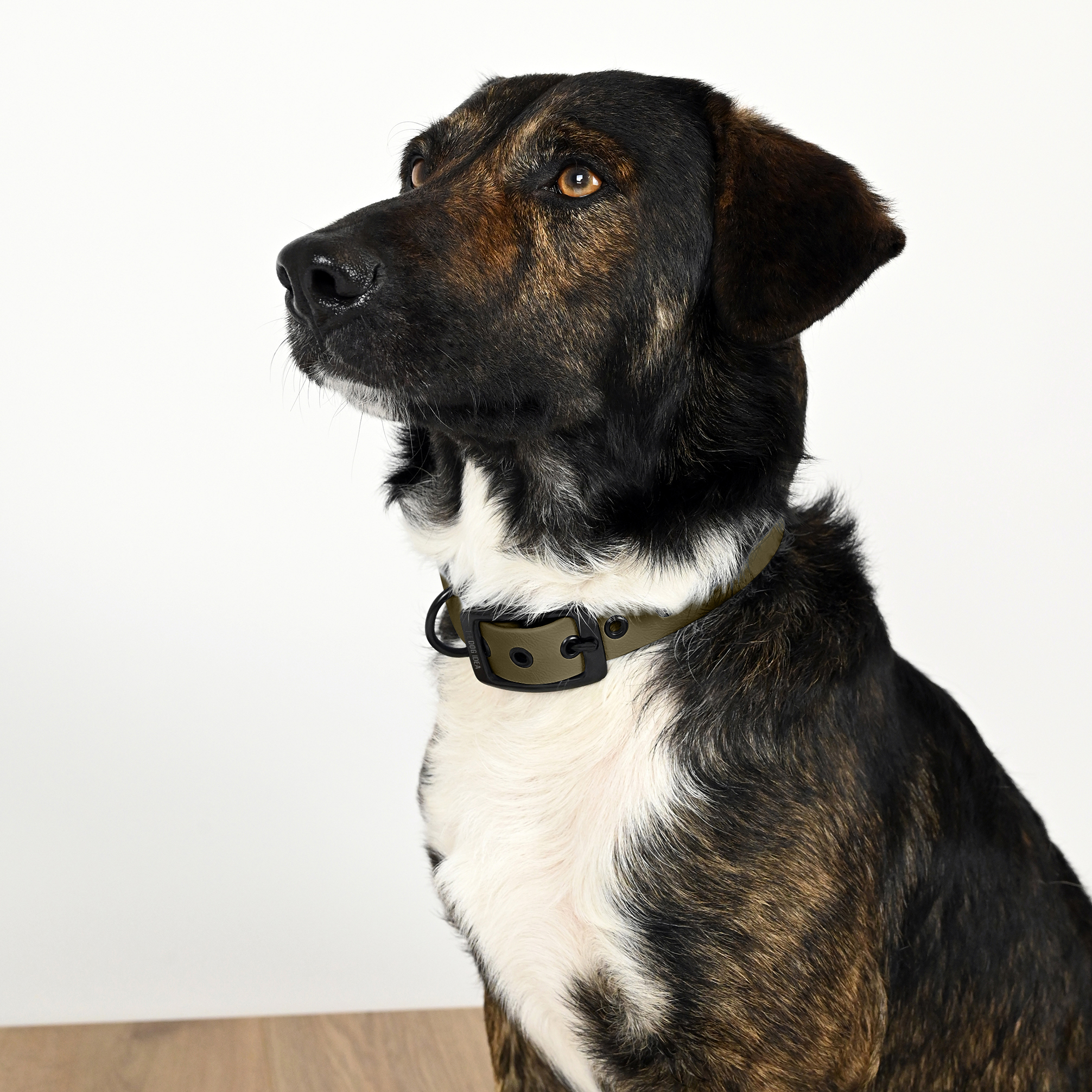 THE DOG IDEA Hundehalsbänder THE DOG IDEA Biothane Halsband Khaki Schwarz XL