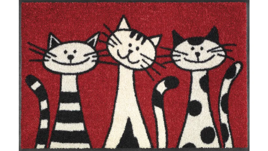 wash+dry Fußmatte Three Cats 50x75cm