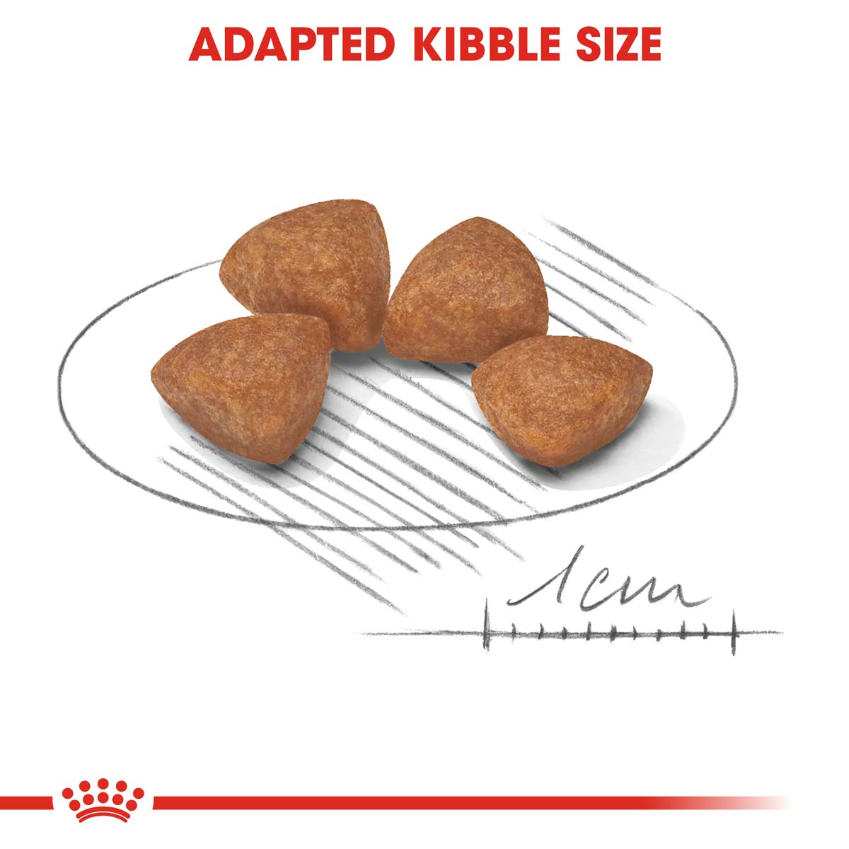 ROYAL CANIN X-Small Puppy 1,5kg + Mini Puppy in Soße 12x85g