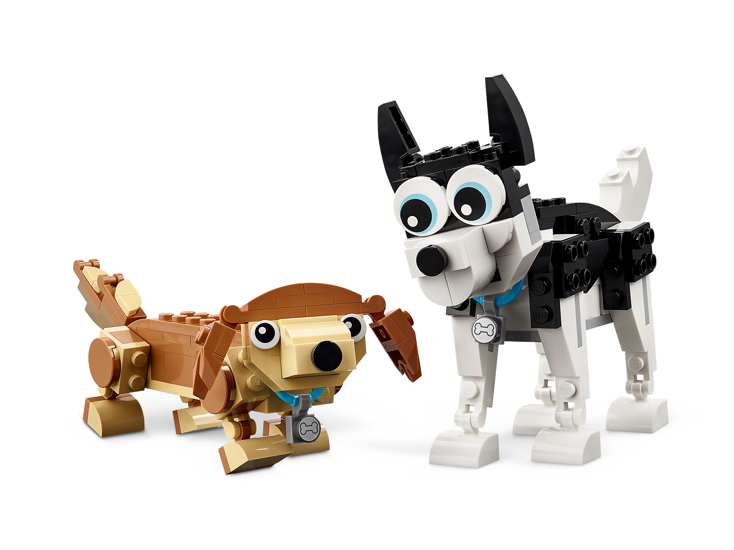 Niedliche Hunde 31137