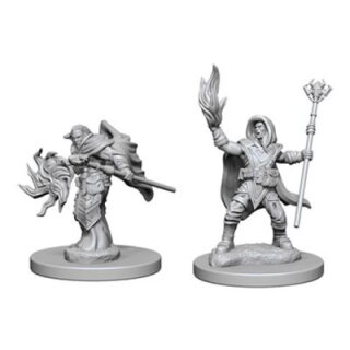 Elf Male Wizard: D&D Nolzurs Marvelous Unpainted Minis