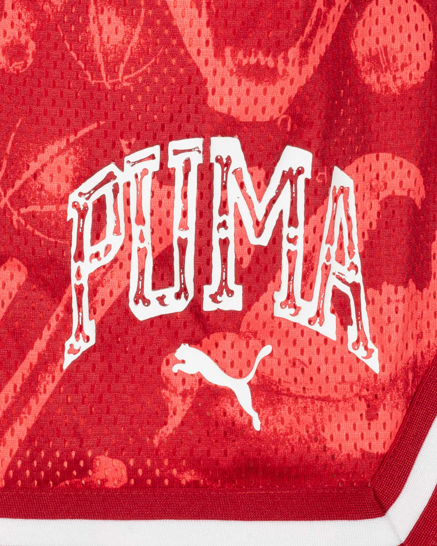 Šortky Puma Ancient Roars M 632355-01