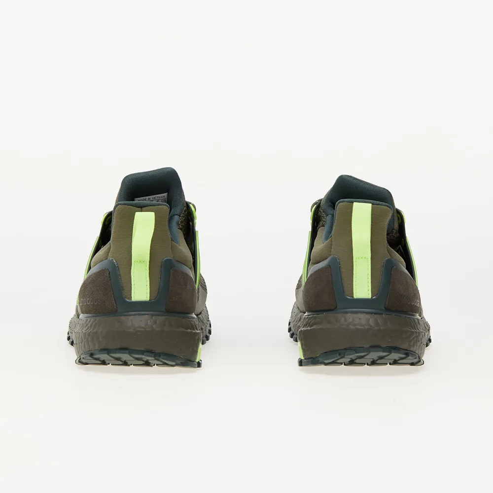 adidas UltraBOOST 1.0 Atr IF9073 / grün