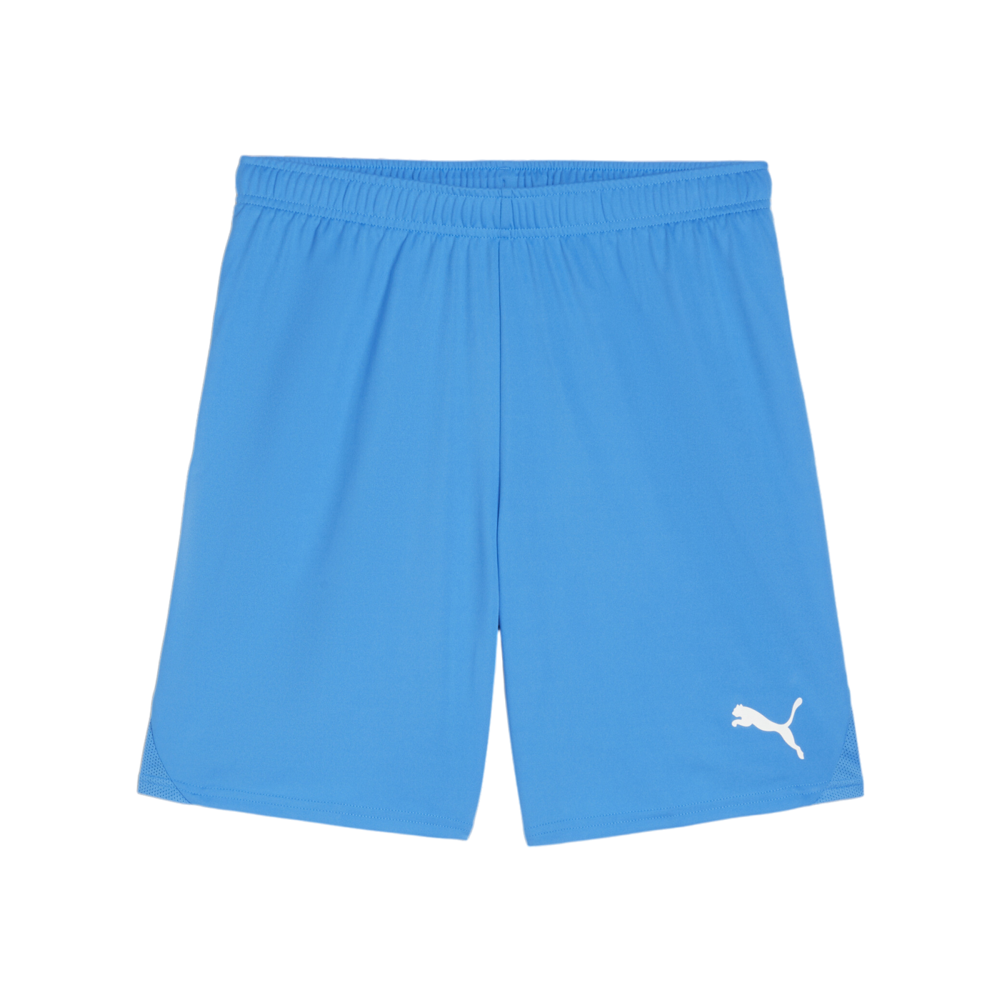 PUMA teamGOAL Short Blau Weiss F02