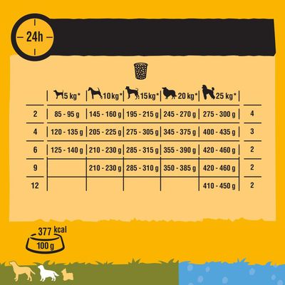 Pedigree Junior Medium mit Huhn & Reis