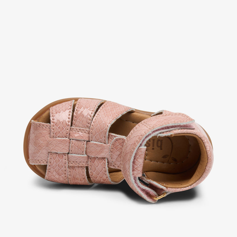 carly rose croco - Rose