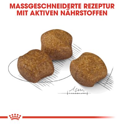 Royal Canin CCN Dental Care Medium