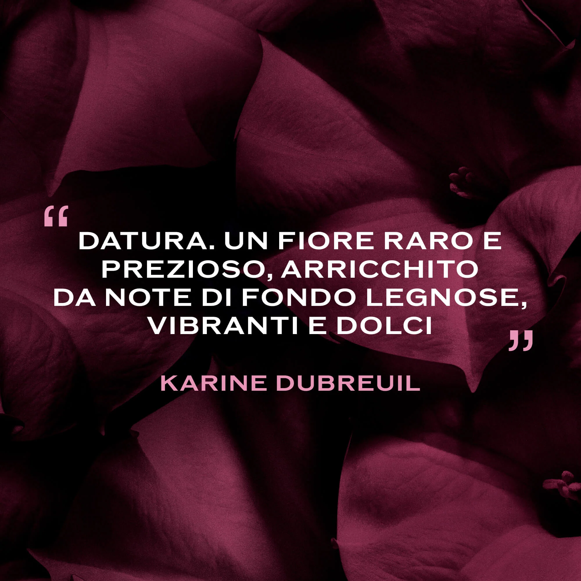 Ginza Ginza Datura - parfemska voda