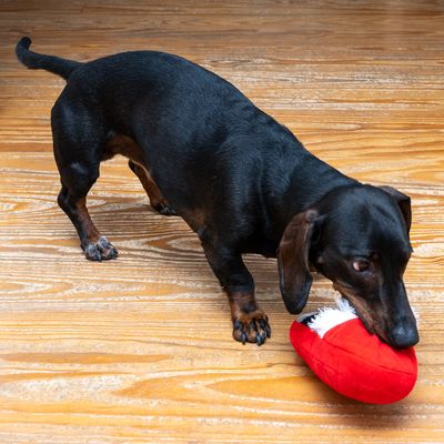 TIAKI Hundespielzeug Tartan-Hausschuh
