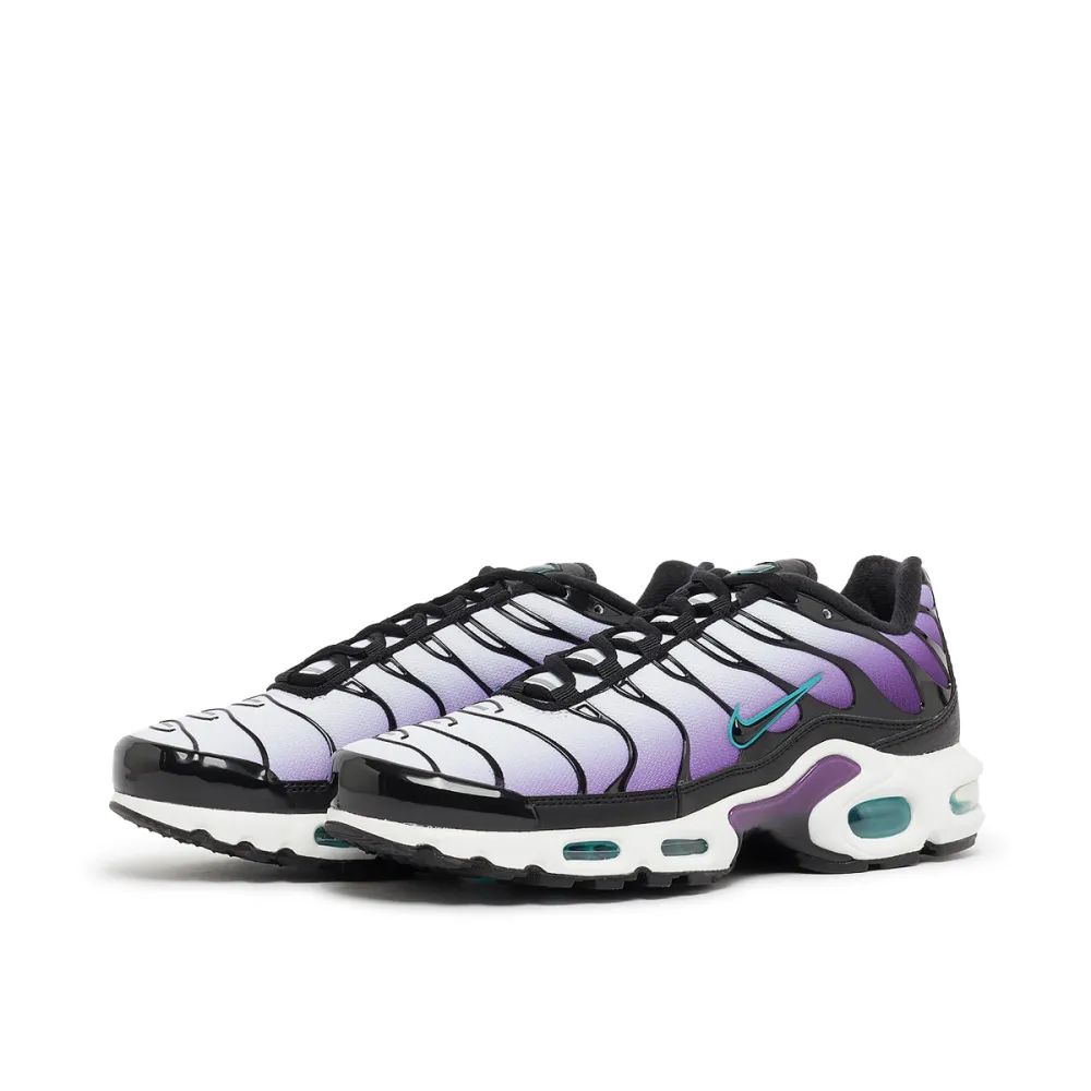 Nike Air Max Plus Reverse Grape FQ2415-500 / lila