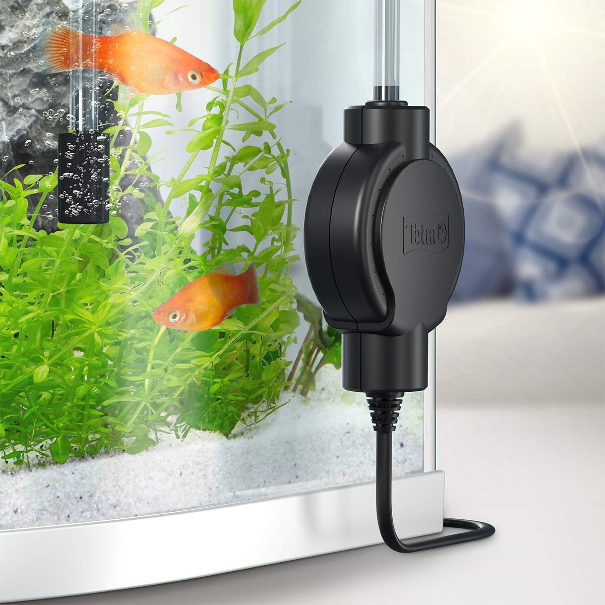 Tetra AirSilent Luftpumpe günstig kaufen