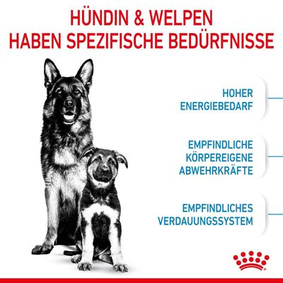 Royal Canin Maxi Starter Mother & Babydog