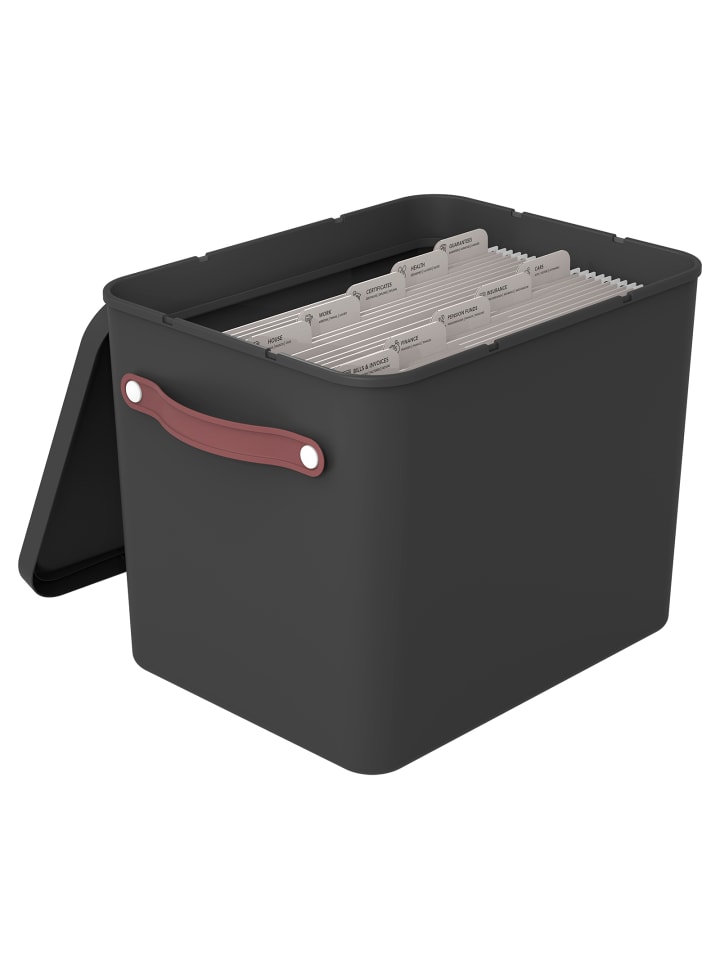 Rotho Archivbox Dokumentenorganizer MY PAPER Plus günstig kaufen onesize