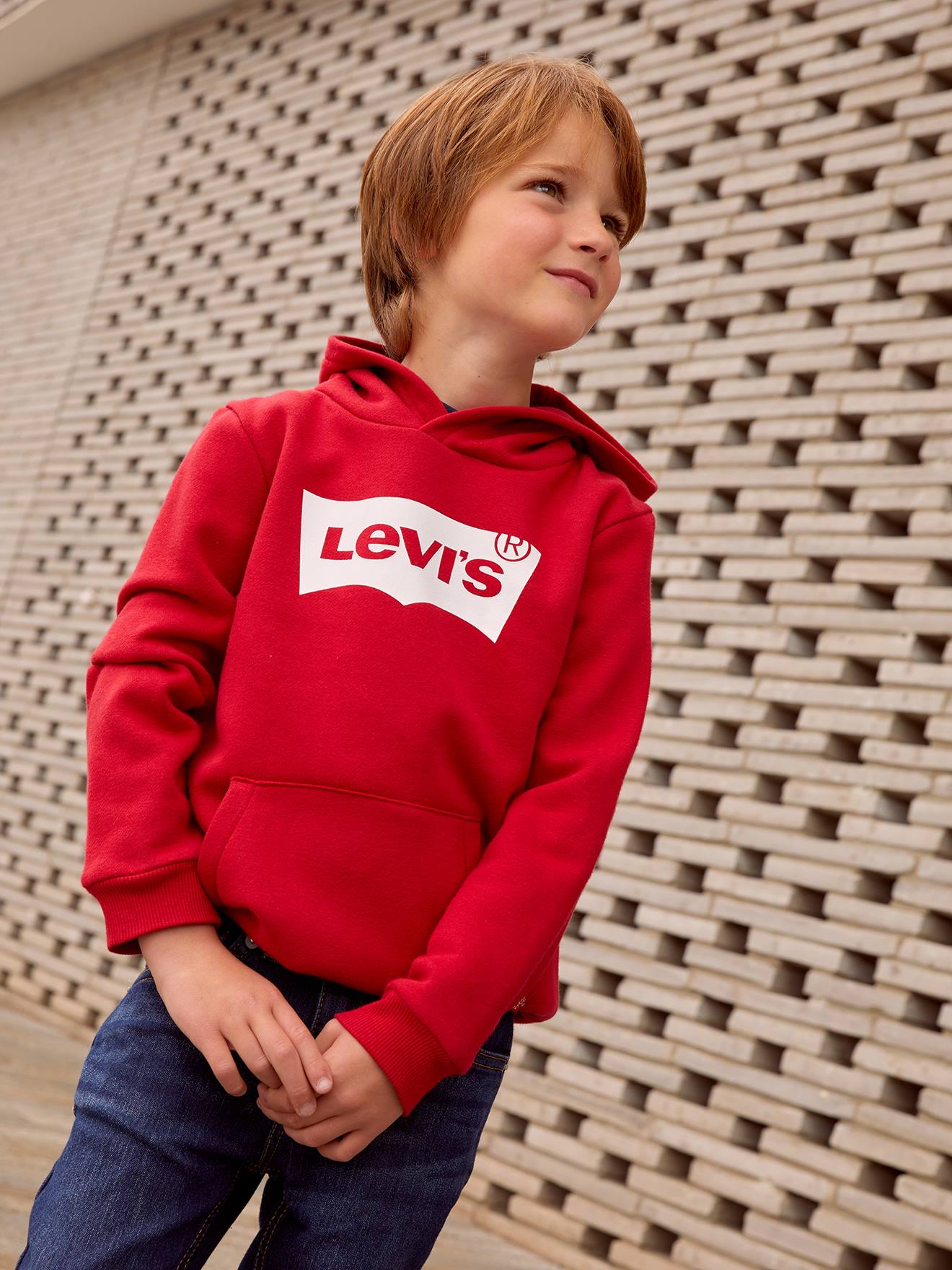 Sweat à capuche garçon Levi's® rouge
