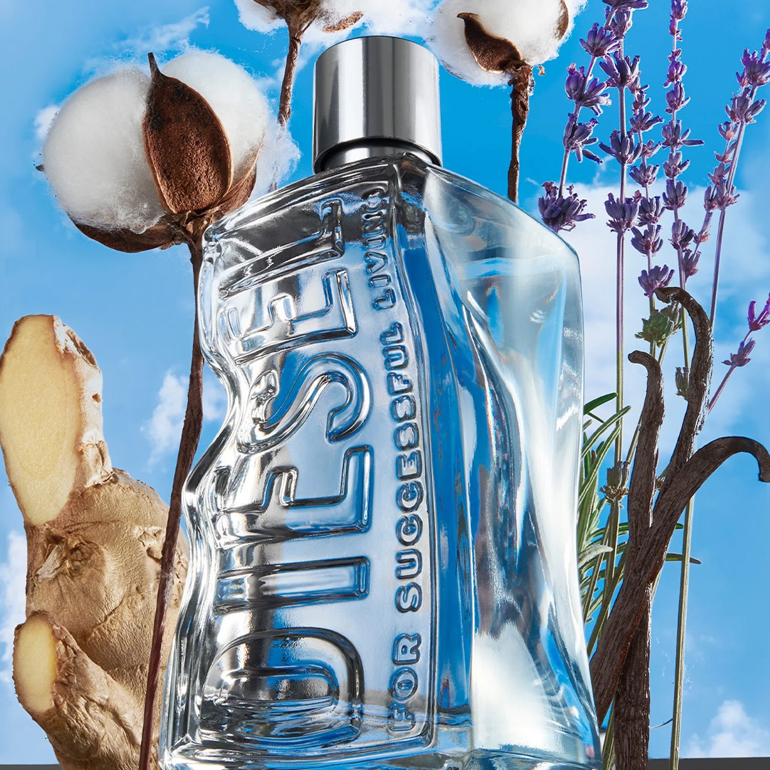 D Door Diesel D Door Diesel - Eau de Toilette Unisex, Eau de Toilette