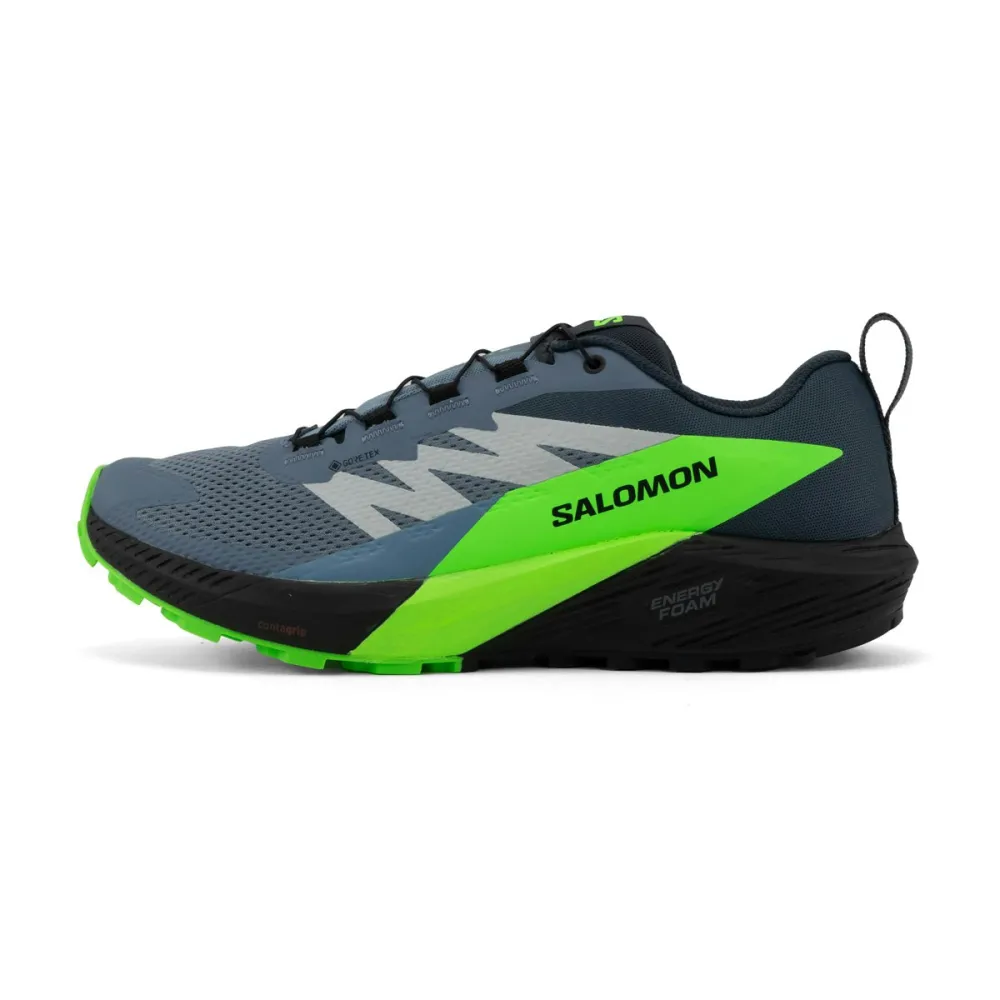 Salomon Sense Ride 5 GTX L47312800 / grau