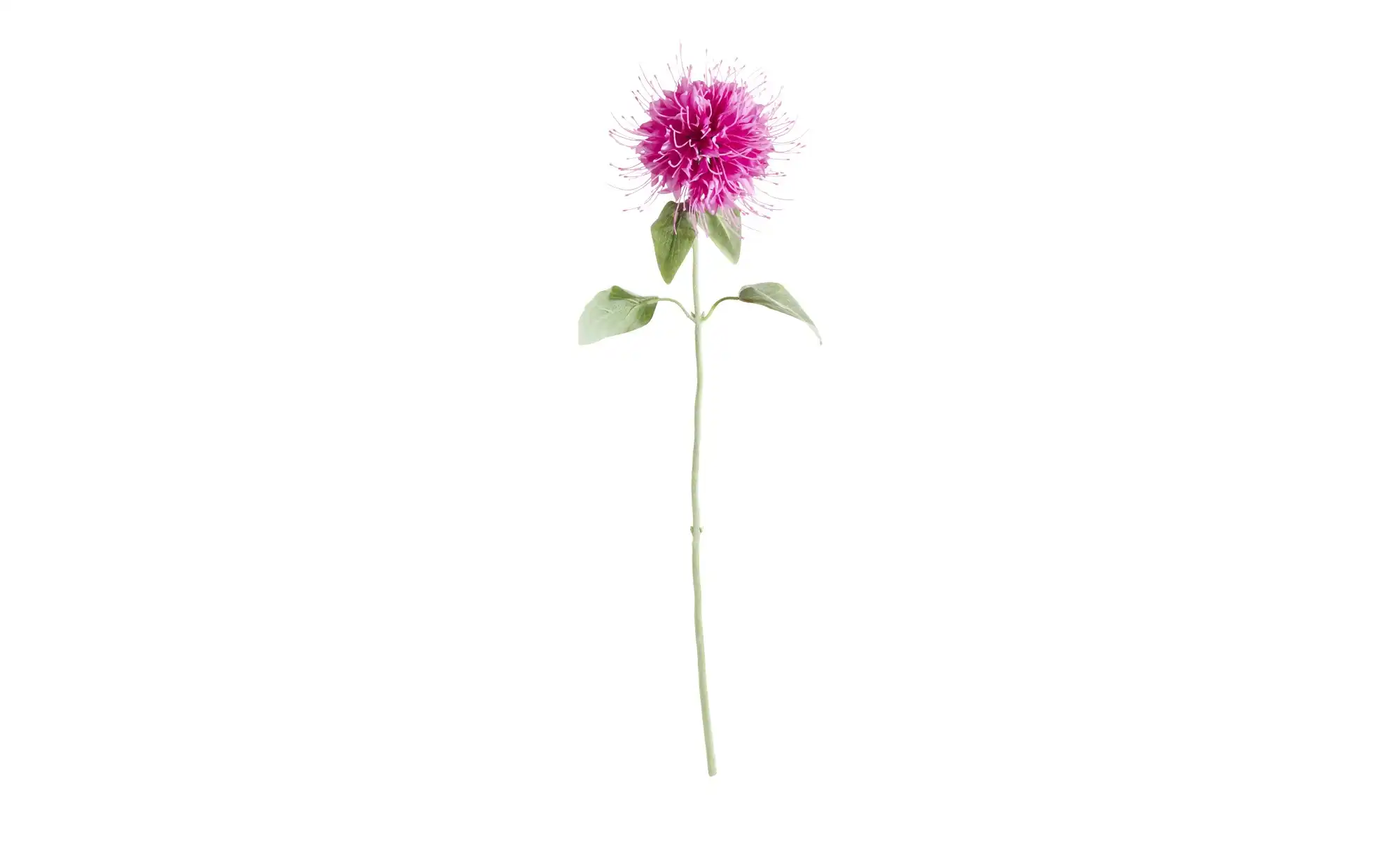 HOME STORY Kunstblume Monarda