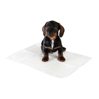 zooplus Trainingsunterlage für Hundewelpen