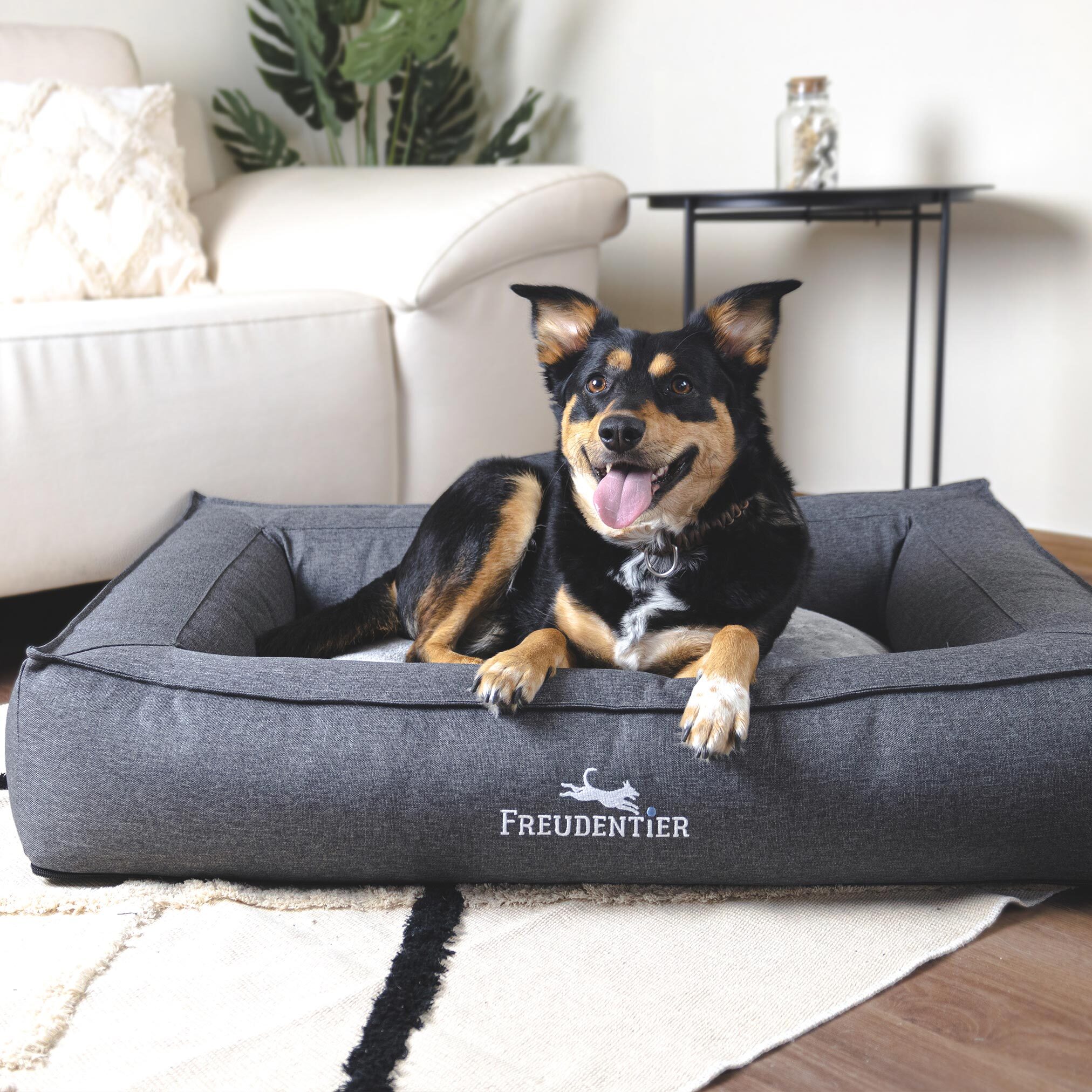 Freudentier Hundebetten Freudentier orthopädisches Box Hundebett Siebenschläfer XXL