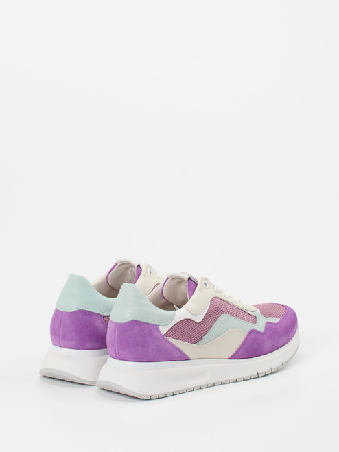 Sneaker-26619990044 Gabor Comfort