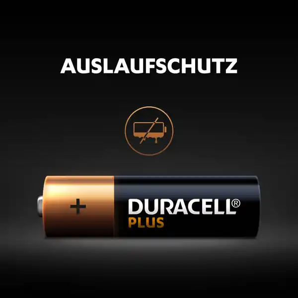 Plus AA Alkaline-Batterien