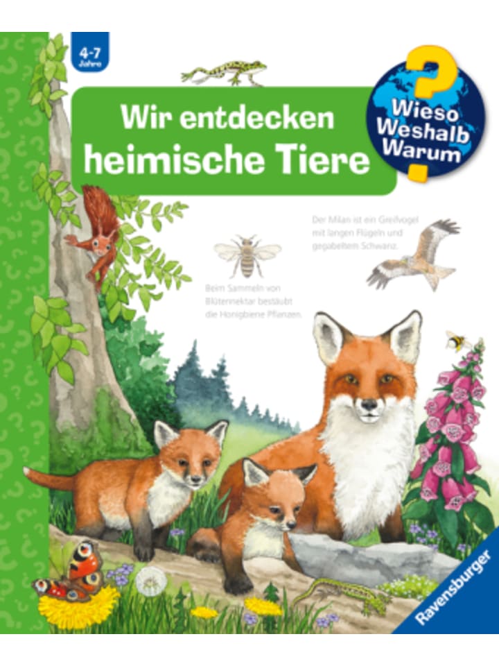 Ravensburger Verlag GmbH Buch - Wieso? Weshalb? Warum?, Band 71 - Wir entdecken heimische Tiere günstig kaufen onesize