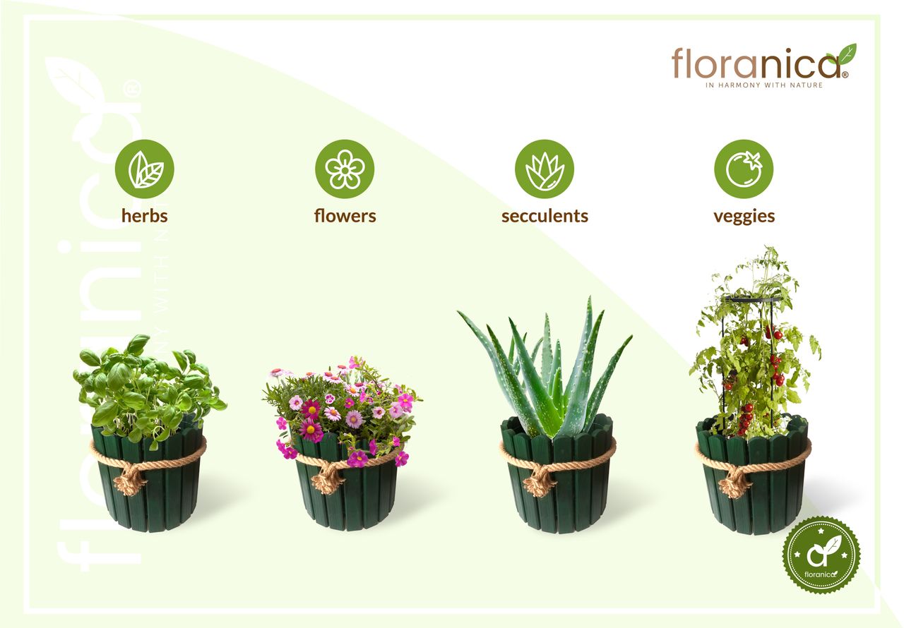 Pemicont Floranica Runder Blumentopf aus Holz 33x20cm Grün Imprägnierte Kiefer Schutzhülle für Kräuter Blumen Haus- und Gartendekoration Truhe Innen- und Außeneinsatz EU-Produkt