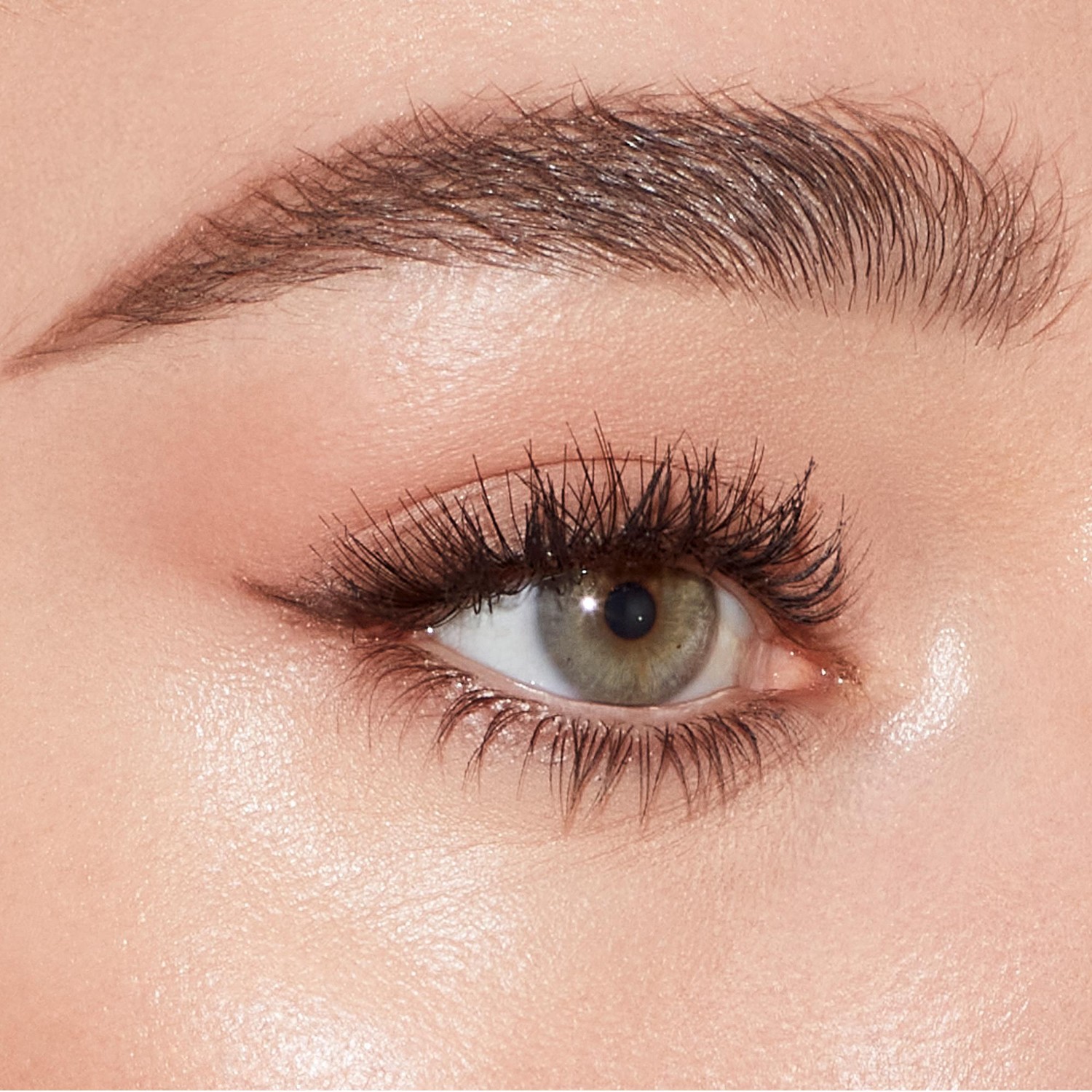 Brow Cheat