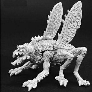 Fly Demon Cichastus