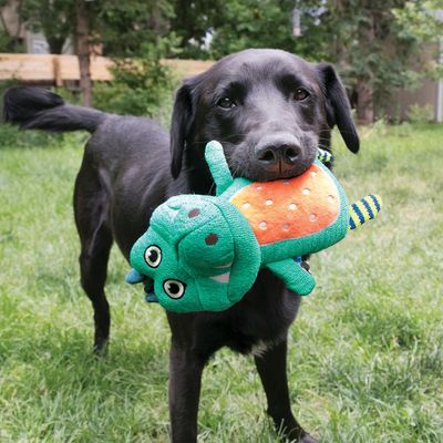 KONG Whoopz Gator